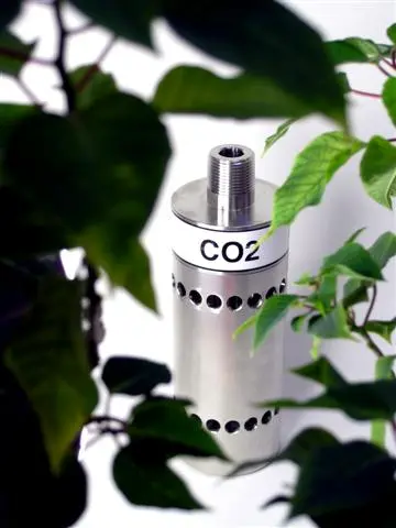 CO2 Arboreal Picture